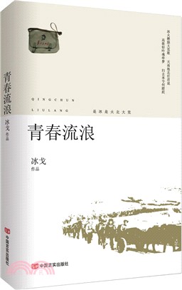 青春流浪（簡體書）