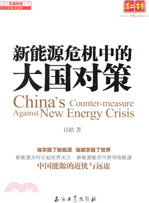 新能源危機中的大國對策（簡體書）