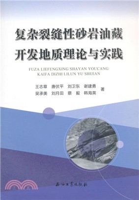 複雜裂縫性砂岩油藏開發地質理論與實踐（簡體書）