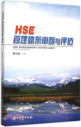 HSE管理體系審核與評估（簡體書）