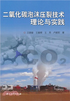 二氧化碳泡沫壓裂技術理論與實踐（簡體書）