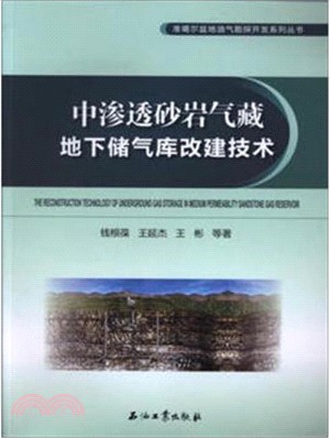 中滲透砂岩氣藏地下儲氣庫改建技術（簡體書）