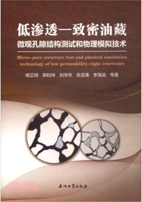 低滲透：緻密油藏微觀孔隙結構測試和物理類比技術（簡體書）