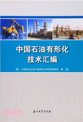 中國石油有形化技術彙編（簡體書）