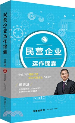 民營企業運作錦囊（簡體書）