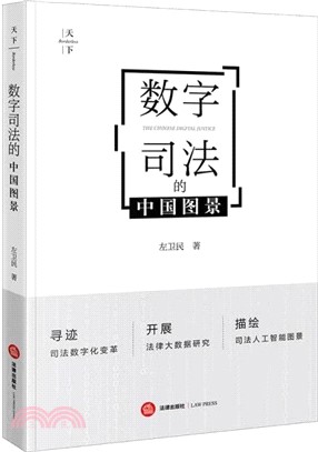 數字司法的中國圖景（簡體書）