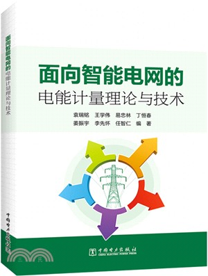 面向智能電網的電能計量理論與技術（簡體書）