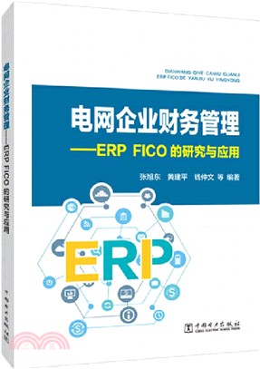 電網企業財務管理：ERP FICO的研究與應用（簡體書）