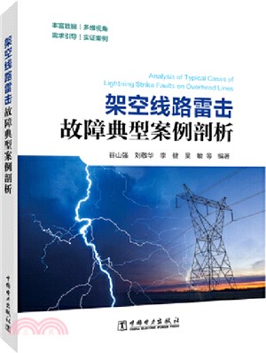 架空線路雷擊故障典型案例剖析（簡體書）