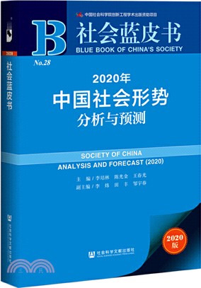 2020年中國社會形勢分析與預測（簡體書）