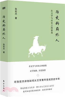 歷史的局外人：在文學與歷史之間遊蕩（簡體書）