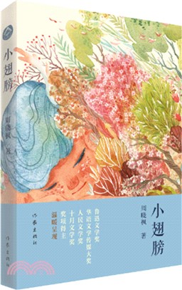 小翅膀（簡體書）