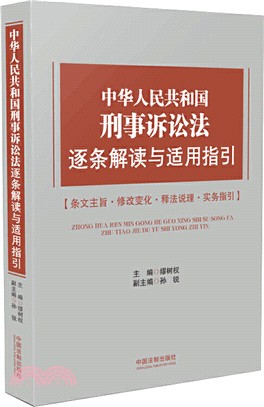 中華人民共和國刑事訴訟法逐條解讀與適用指引（簡體書）
