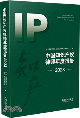 中國知識產權律師年度報告（簡體書）