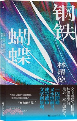 鋼鐵蝴蝶（簡體書）