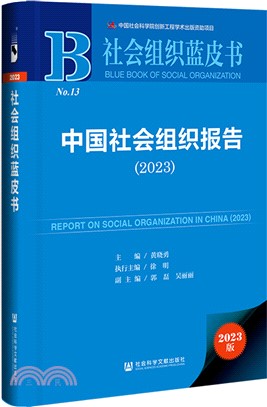 中國社會組織報告（簡體書）