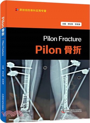 Pilon骨折（簡體書）