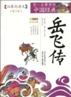 岳飛傳（簡體書）