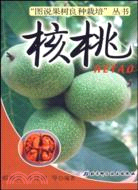 核桃（簡體書）