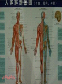 人體解剖掛圖：骨骼、肌肉、神經(第二版)（簡體書）