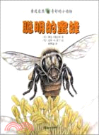 親近自然奇妙的小動物：聰明的蜜蜂（簡體書）