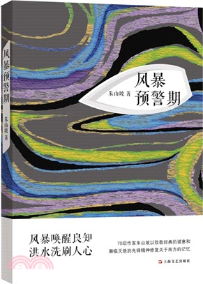 風暴預警期（簡體書）