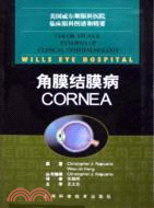 角膜結膜病CORNEA(簡體書)