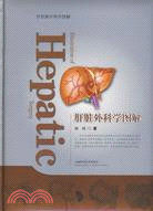 肝臟外科學圖解（簡體書）