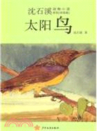 沈石溪動物小說拼音版：太陽鳥（簡體書）