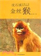 沈石溪動物小說拼音版：金絲猴（簡體書）