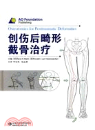 創傷後畸形截骨治療：AO骨科經典叢書（簡體書）