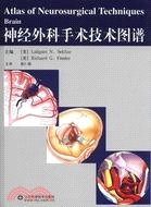 神經外科手術技術圖譜（簡體書）