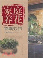 家庭養花錦囊妙招 （簡體書）