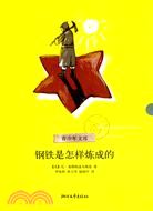 鋼鐵是怎樣煉成的（簡體書）