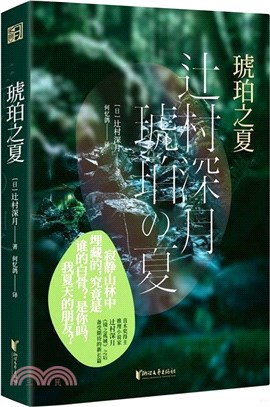 琥珀之夏（簡體書）