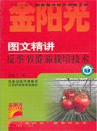 圖文精講反季節番茄栽培技術（簡體書）