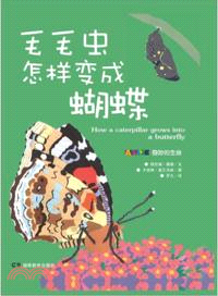 毛毛蟲怎樣變成蝴蝶（簡體書）