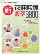 新花樣實例薈萃3800（簡體書）