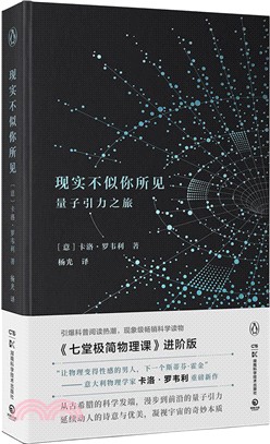 現實不似你所見（簡體書）