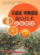 春甜橘 明柳甜橘栽培技術彩色圖說（簡體書）