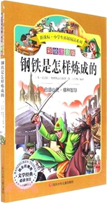 鋼鐵是怎樣煉成的（簡體書）