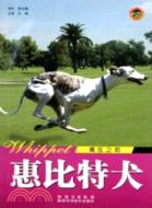 世界名犬系列：惠比特犬（簡體書）