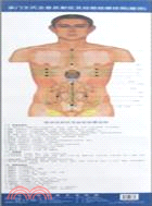 承六王氏全息反射區及經筋按摩掛圖(腹部、背部、頭部、足部、手部)（簡體書）