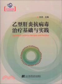 乙型肝炎抗病毒治療基礎與實踐（簡體書）