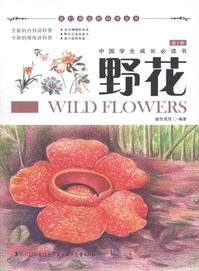 野花（簡體書）