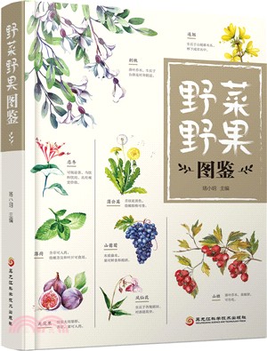 野菜野果圖鑒（簡體書）