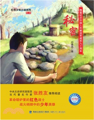 秘密（簡體書）