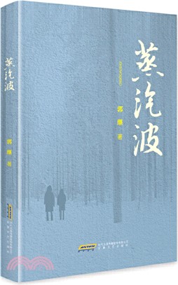 蒸汽波（簡體書）