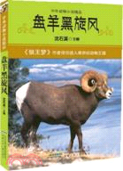 中外動物小說精品：盤羊黑旋風（簡體書）