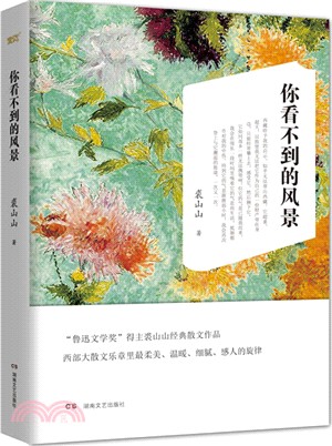 你看不到的風景（簡體書）